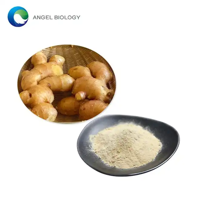 Ginger Extract Powder